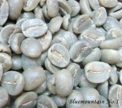 画像2: コーヒー生豆【１ｋｇ】ブルーマウンテンＮｏ．１／ジャマイカ