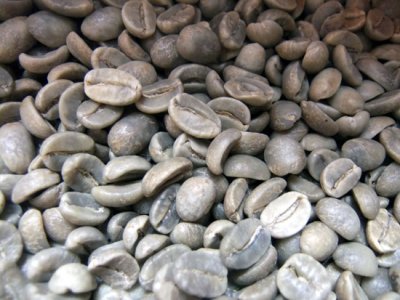 画像1: コーヒー生豆　ジャマイカプライムウォッシュ【１ｋｇ】