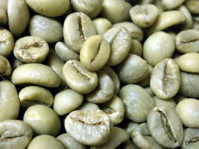 画像1: コーヒー生豆　インドアラビカ【１０ｋｇ】