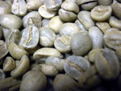 画像2: コーヒー生豆【１ｋｇ】グァテマラＳＨＢ　スタンダードグレード