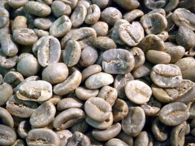 画像3: コーヒー生豆【１ｋｇ】グァテマラＳＨＢ　スタンダードグレード