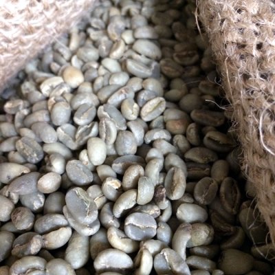 画像1: コーヒー生豆【１０ｋｇ】イルガチャフェＧ２／エチオピア　モカコーヒー