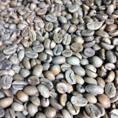 画像1: コーヒー生豆【１００ｇ】イルガチャフェナチュラル