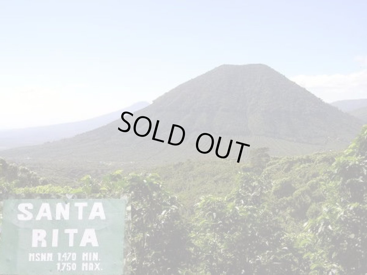 画像2: コーヒー生豆 エルサルバドルブルボンサンタリタ（ナチュラル） (2)