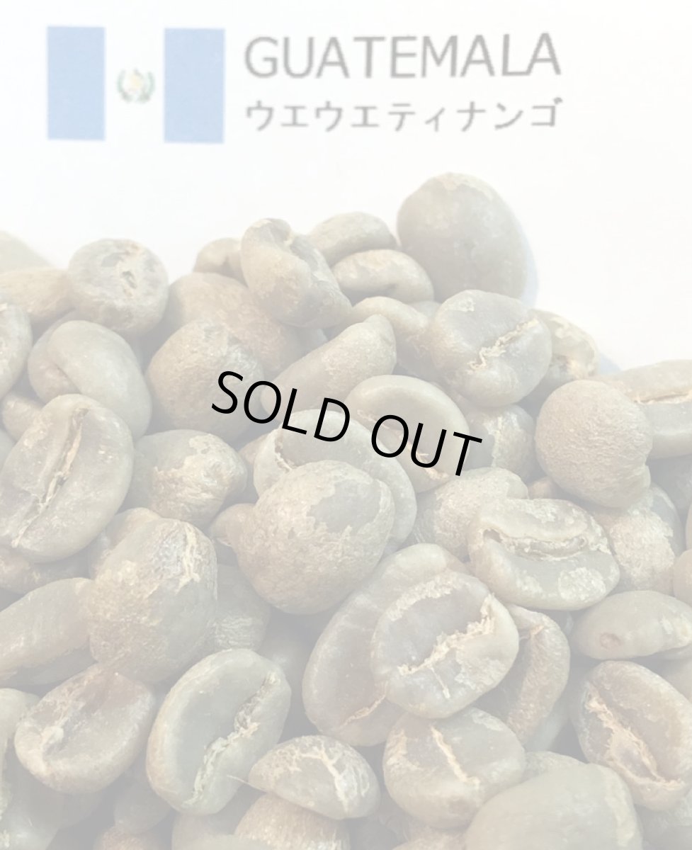 画像1: コーヒー生豆【１００ｇ】グァテマラＳＨＢウエウエティナンゴ (1)