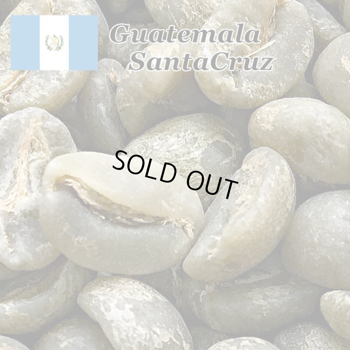 画像2: コーヒー生豆【１０ｋｇ】グァテマラＳＨＢアンティグァサンタクルス (2)