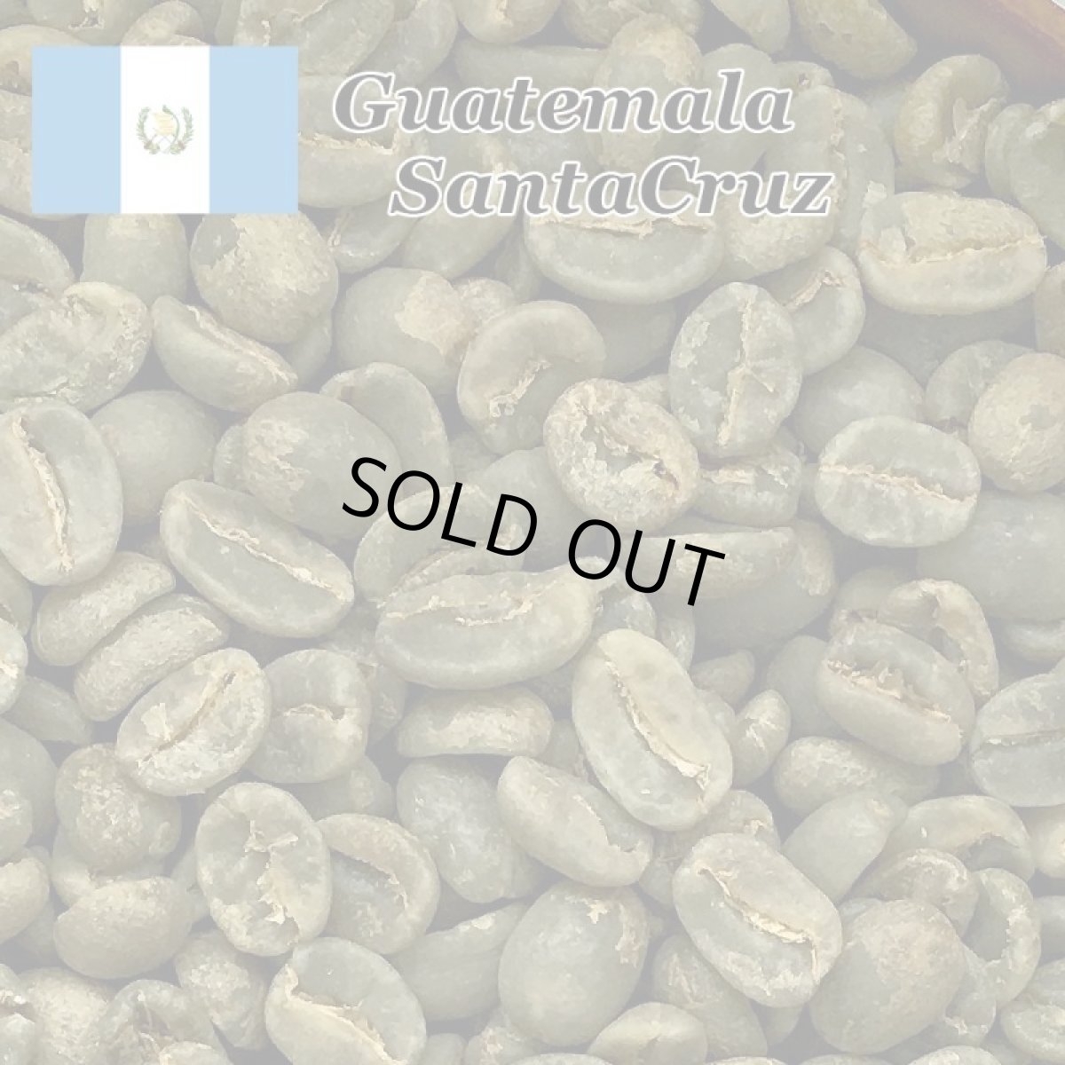 画像4: コーヒー生豆【１０ｋｇ】グァテマラＳＨＢアンティグァサンタクルス (4)