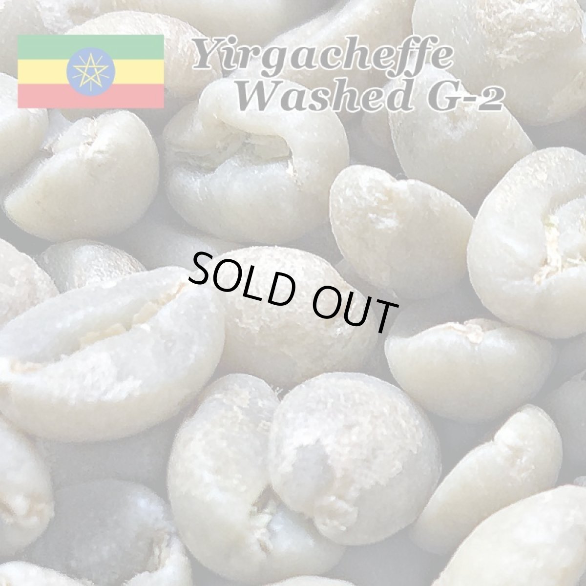 画像2: コーヒー生豆【１ｋｇ】イルガチャフェＧ２／エチオピア　モカコーヒー (2)