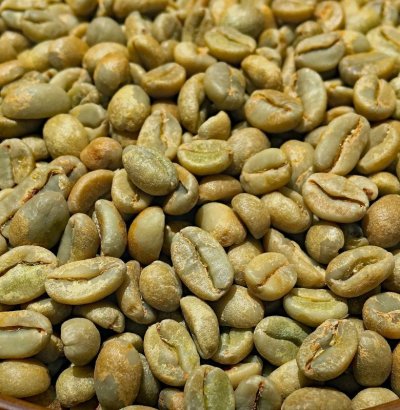 画像1: コーヒー生豆【１ｋｇ】イルガチャフェナチュラル/エチオピア