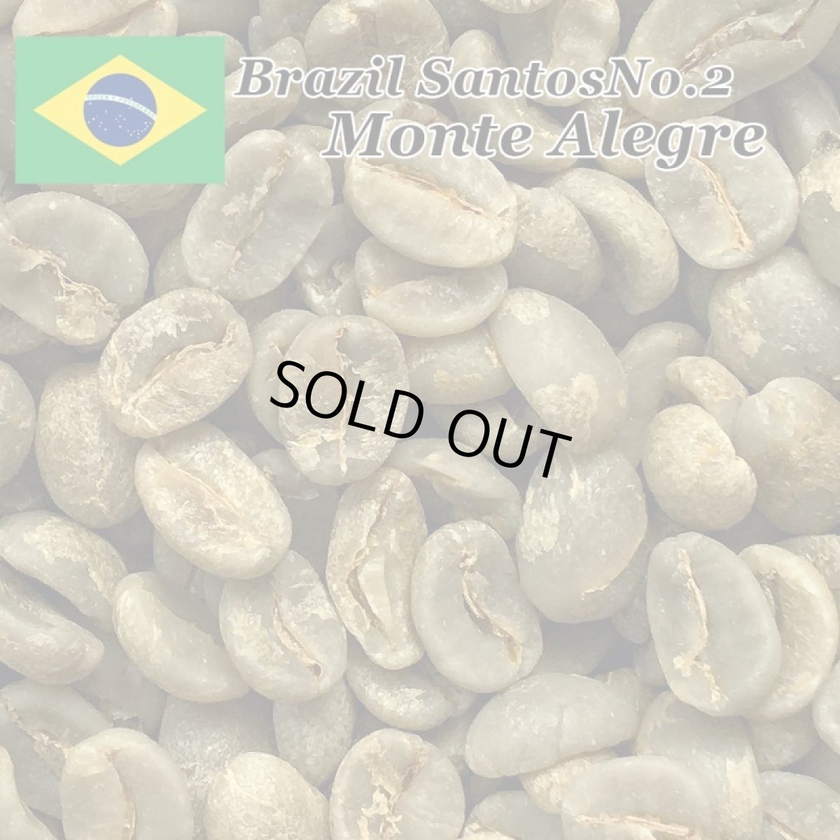 画像2: コーヒー生豆【１０ｋｇ】ブラジルモンテアレグレ農園 (2)