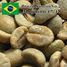 画像2: コーヒー生豆【１ｋｇ】ブラジル モジアナ (2)