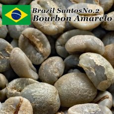 画像2: コーヒー生豆　ブラジル　アマレロブルボンPN　10kg (2)