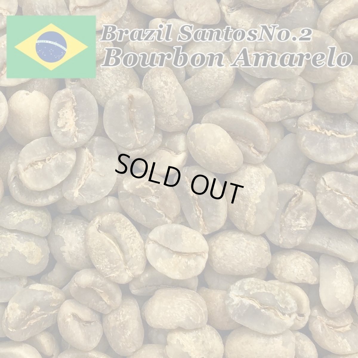 画像4: コーヒー生豆　ブラジル　アマレロブルボンPN　10kg (4)