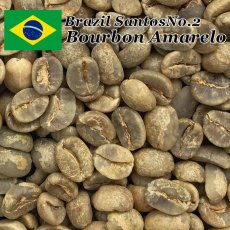 画像4: コーヒー生豆　ブラジル　アマレロブルボンPN　10kg (4)