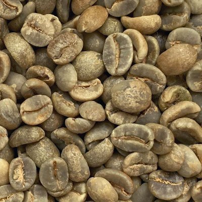 画像3: コーヒー生豆　ブラジル　アマレロブルボンPN　10kg