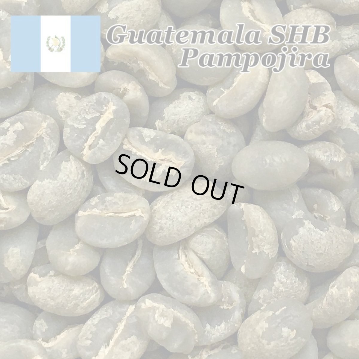 画像6: コーヒー生豆【１ｋｇ】グァテマラアティトゥラン／パンポヒラ農園 (6)