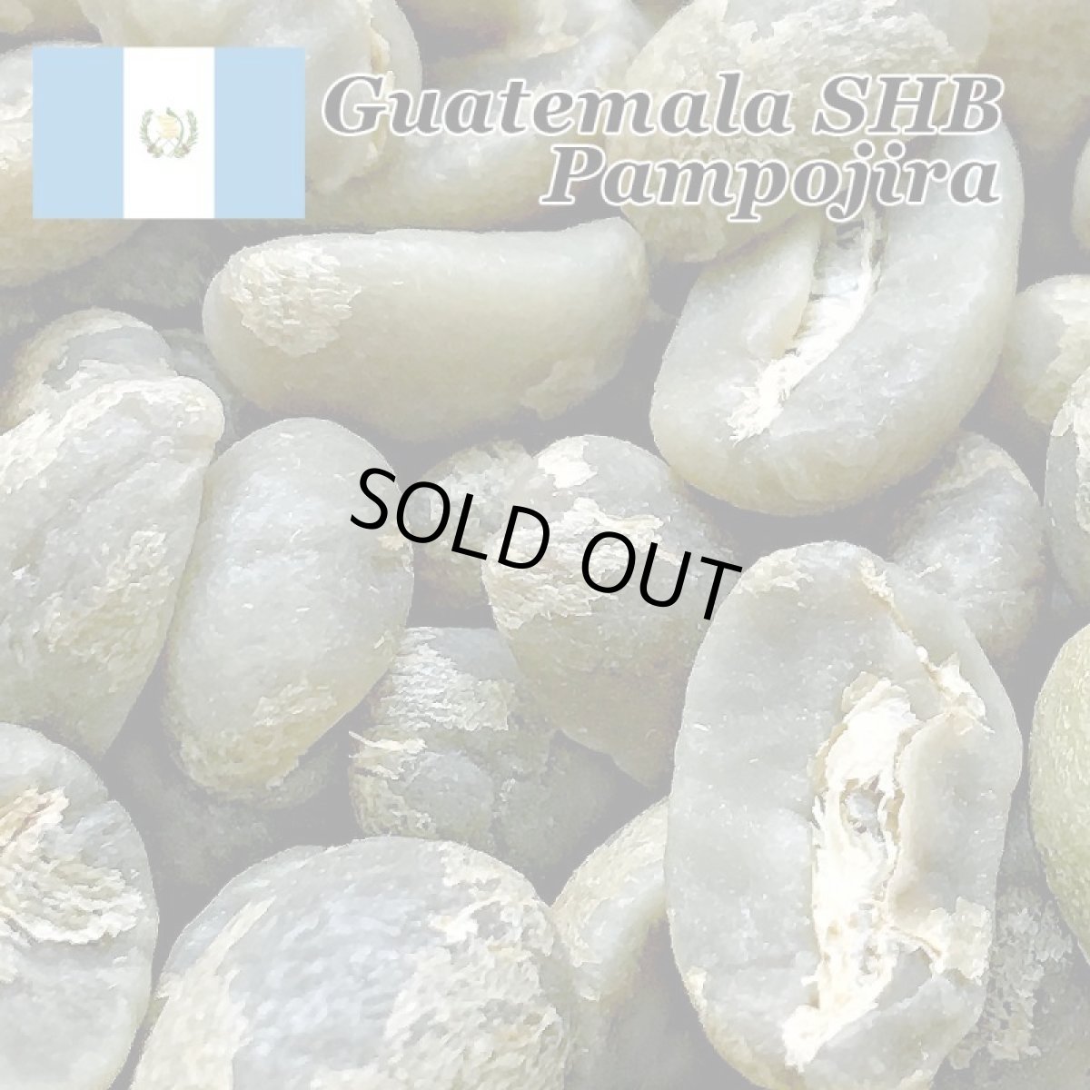 画像2: コーヒー生豆【１ｋｇ】グァテマラアティトゥラン／パンポヒラ農園 (2)