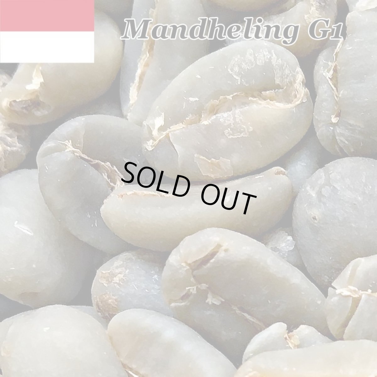 画像2: コーヒー生豆【１ｋｇ】マンデリンＧ１　スタンダードグレード (2)