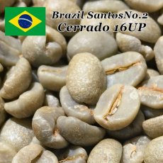 画像2: コーヒー生豆【１ｋｇ】ブラジル セラード 　ナチュラル (2)