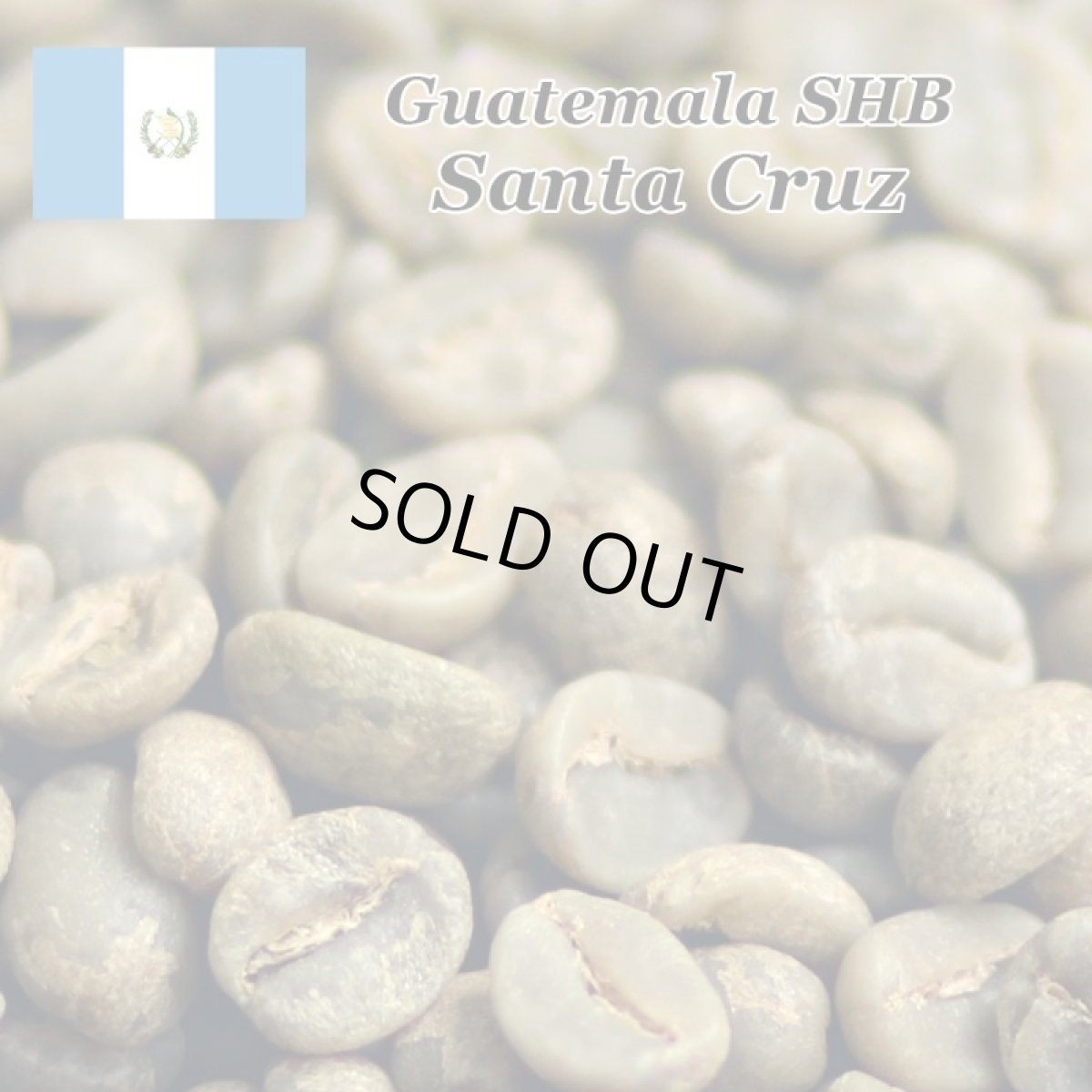 画像3: コーヒー生豆【１ｋｇ】グァテマラＳＨＢアンティグァサンタクルス (3)