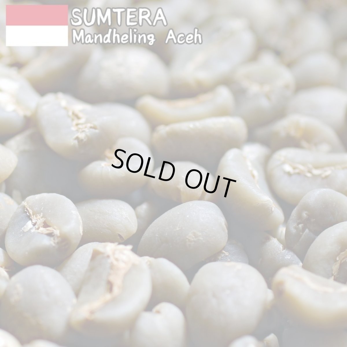 画像3: コーヒー生豆【１ｋｇ】マンデリンＧ１アチェ ／スペシャルティ (3)