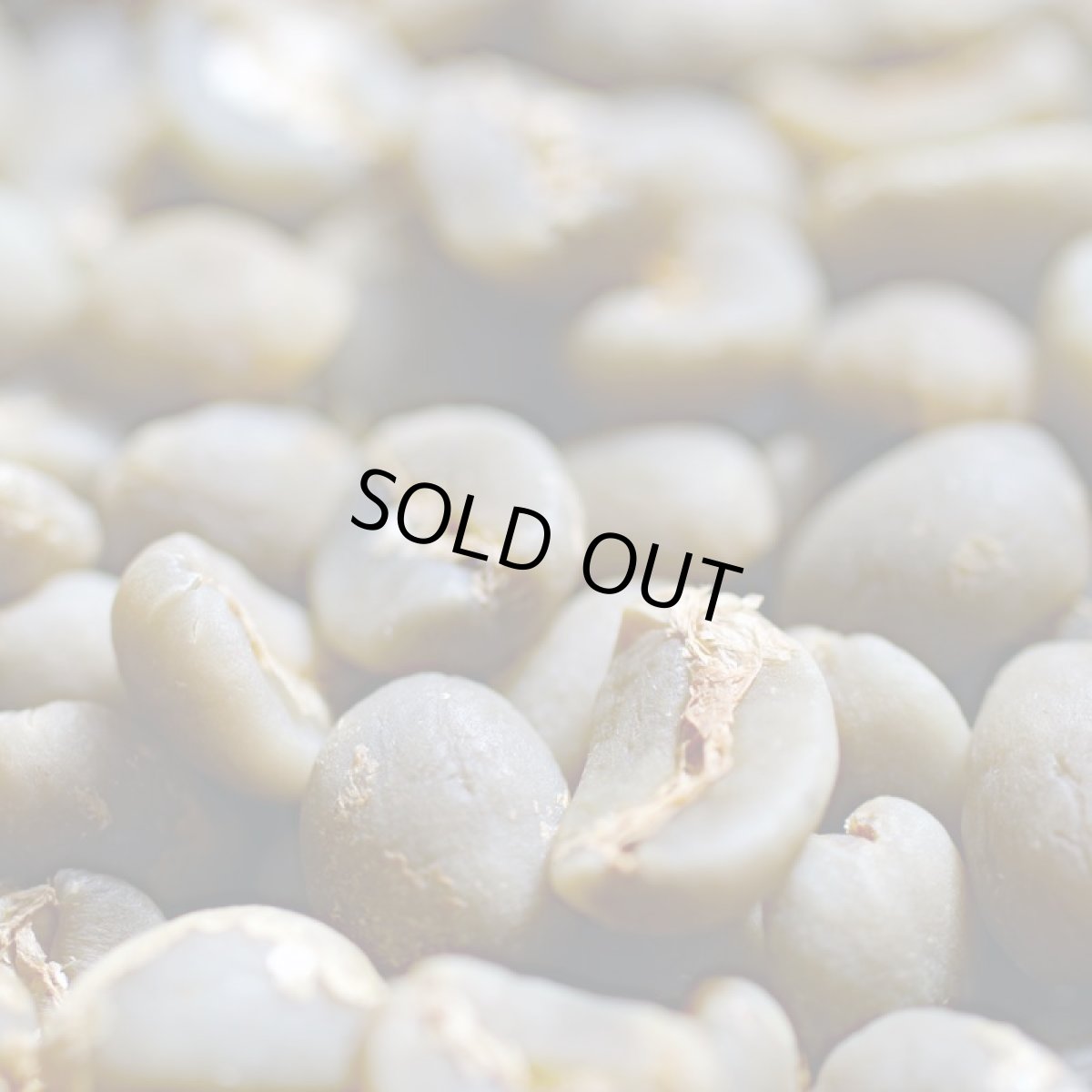 画像6: コーヒー生豆【１ｋｇ】マンデリンＧ１アチェ ／スペシャルティ (6)