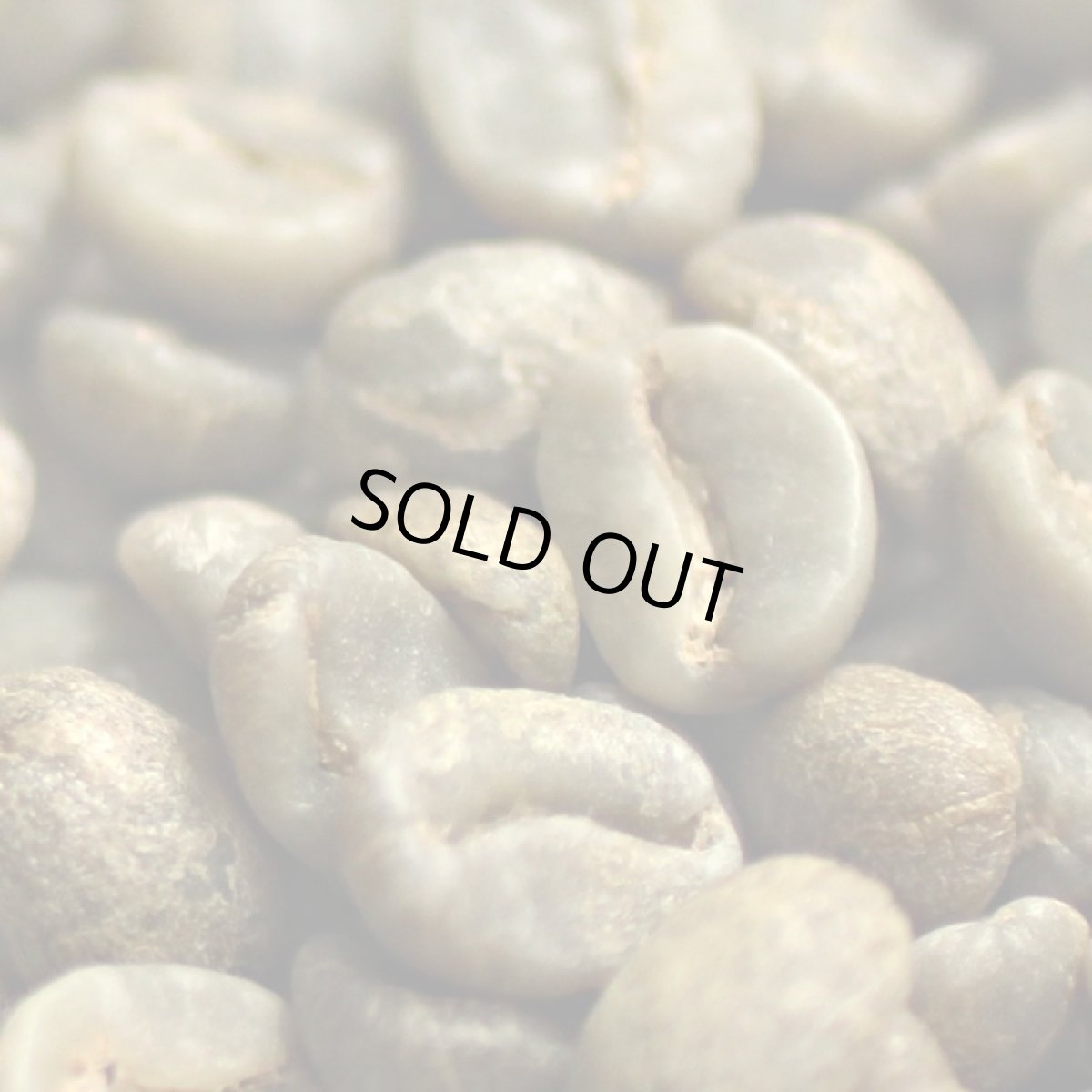 画像3: コーヒー生豆【１０ｋｇ】グァテマラＳＨＢアンティグァサンタクルス (3)