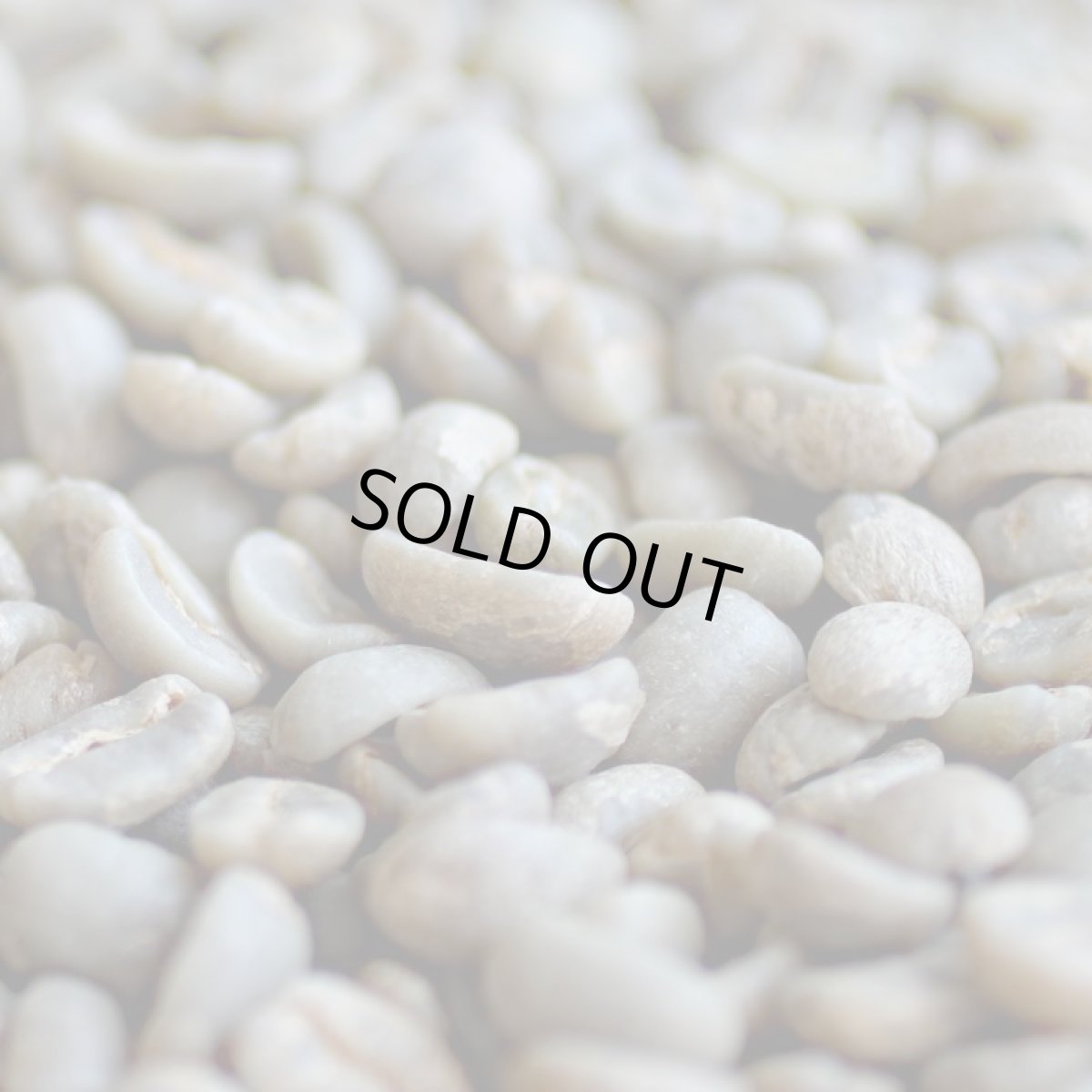 画像2: コーヒー生豆【１ｋｇ】グァテマラＳＨＢアンティグァサンタクルス (2)