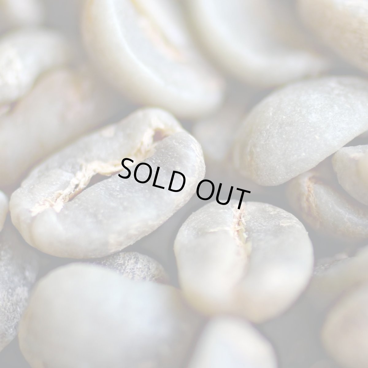 画像7: コーヒー生豆【１ｋｇ】グァテマラＳＨＢアンティグァサンタクルス (7)