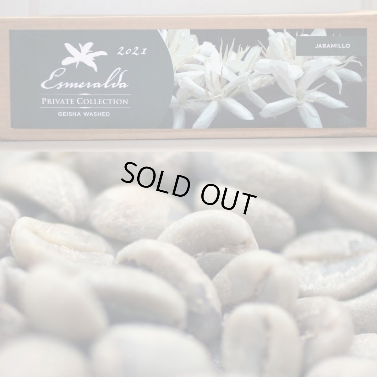 画像2: コーヒー生豆【１００ｇ】エスメラルダ農園ゲイシャ種／パナマ (2)