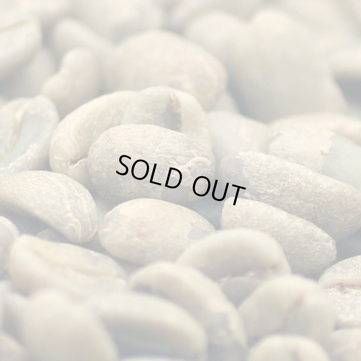 画像4: コーヒー生豆【１００ｇ】エスメラルダ農園ゲイシャ種／パナマ (4)