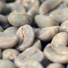画像1: コーヒー生豆　グァテマラＳＨＢアカティナンゴ　1kg (1)