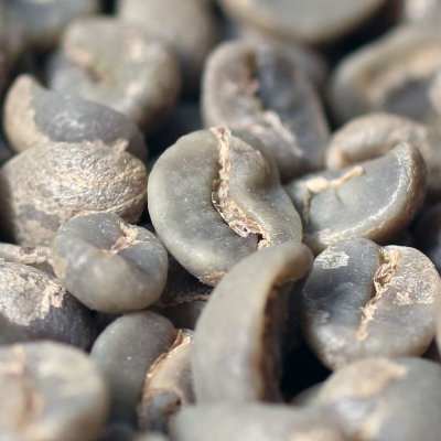 画像2: コーヒー生豆【１ｋｇ】グァテマラアティトゥラン／パンポヒラ農園