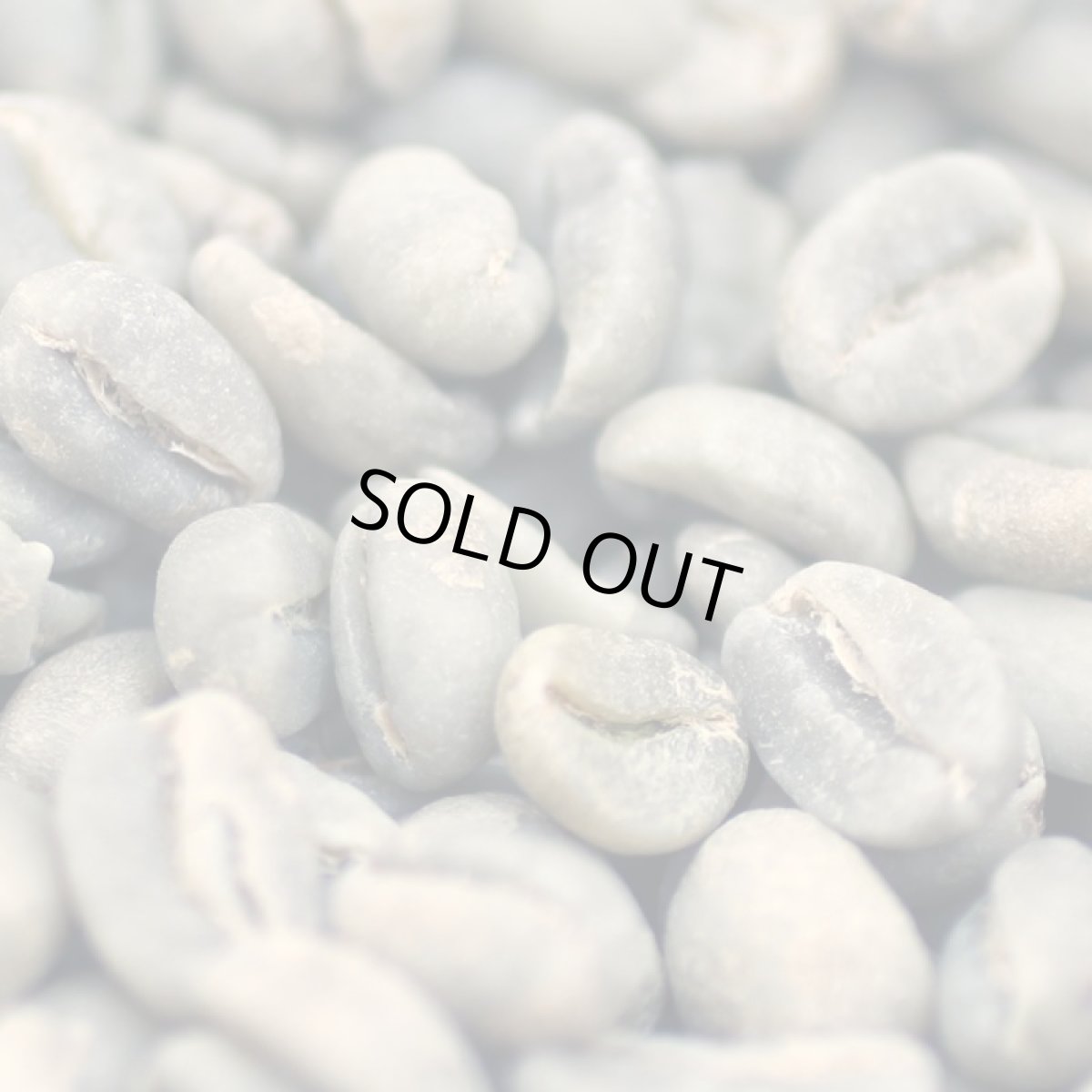 画像4: コーヒー生豆【１０ｋｇ】イルガチャフェＧ２／エチオピア　モカコーヒー (4)