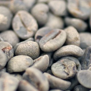 ルアックコーヒー 1000g 生豆 15,000円 ルアックコーヒー 1000g 生豆 15,000円 コピルアク ルアック コーヒー