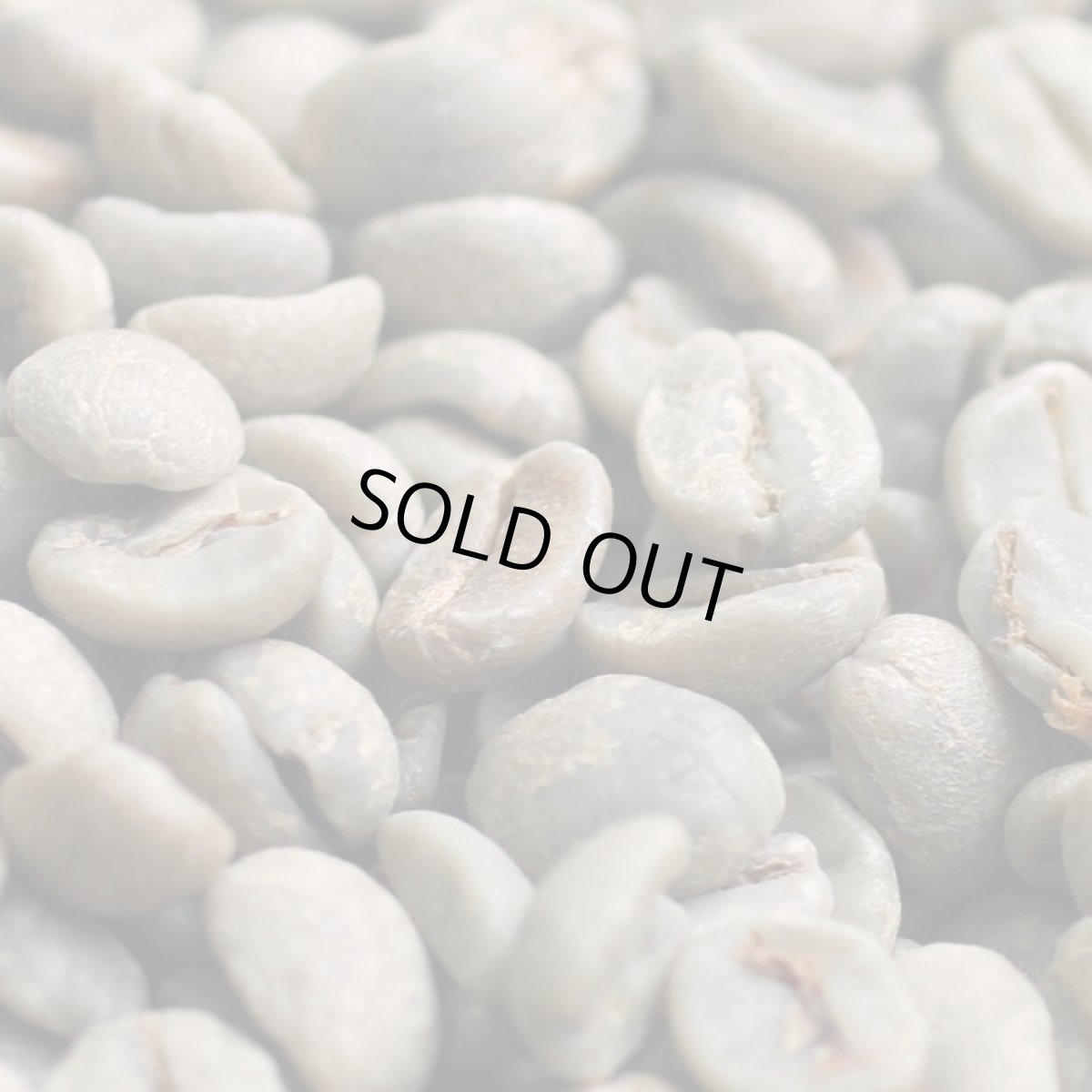 画像4: コーヒー生豆【１００ｇ】サントスＮｏ．２＃１７／１８　ブラジル (4)