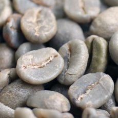 画像1: コーヒー生豆【１ｋｇ】キリマンジャロ／タンザニアＦＡＱ　ＡＡ　スタンダードグレード (1)