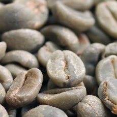 画像3: コーヒー生豆【１００ｇ】サントスＮｏ．２＃１７／１８　ブラジル (3)