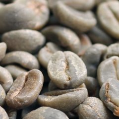 コーヒー生豆【１ｋｇ】ブラジルサントスＮｏ．２＃１７／１８