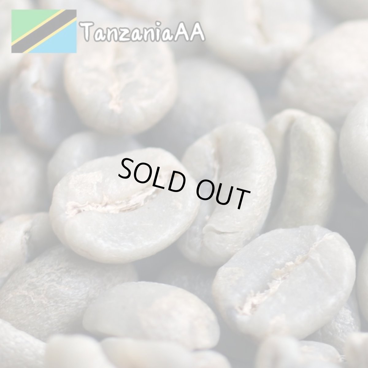 画像2: コーヒー生豆【１ｋｇ】キリマンジャロ／タンザニアＦＡＱ　ＡＡ　スタンダードグレード (2)