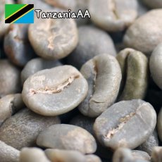 画像2: コーヒー生豆【１ｋｇ】キリマンジャロ／タンザニアＦＡＱ　ＡＡ　スタンダードグレード (2)
