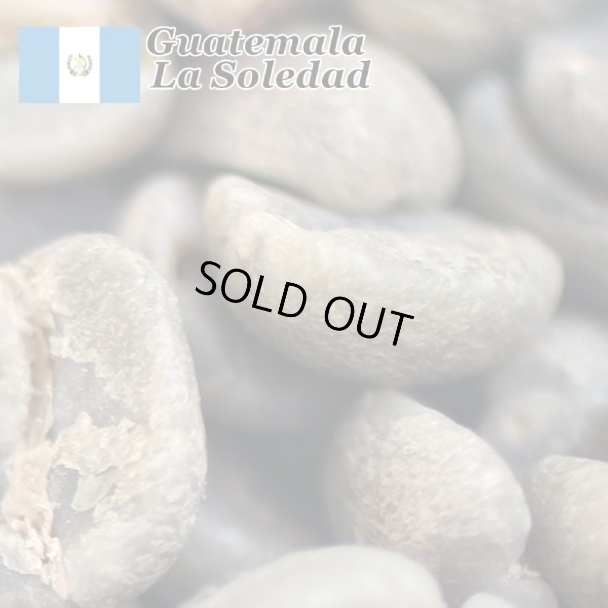 画像2: コーヒー生豆【１ｋｇ】グァテマラＳＨＢアンティグァソレダー (2)