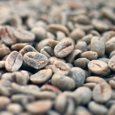 画像1: コーヒー生豆【１ｋｇ】ブラジルモンテアレグレ農園