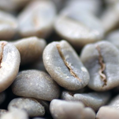 画像3: コーヒー生豆【１ｋｇ】ブラジル セラード 　ナチュラル