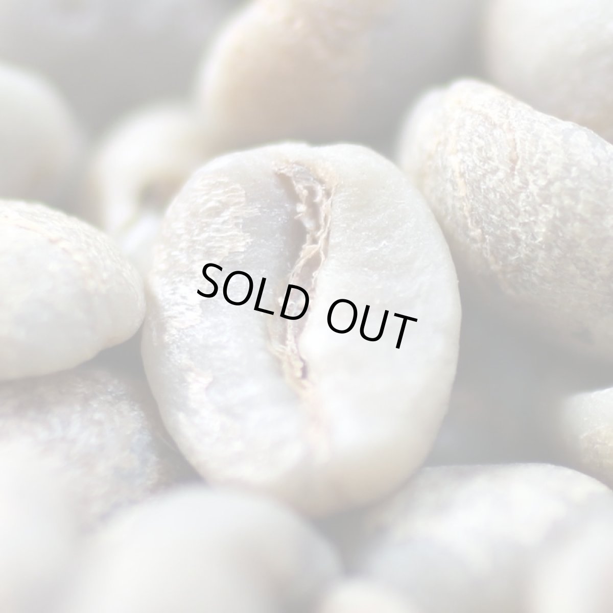 画像6: コーヒー生豆【１ｋｇ】ブラジル アマレロブルボンＰＮ (6)