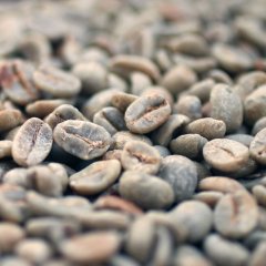 コーヒー生豆【１ｋｇ】ブラジルモンテアレグレ農園