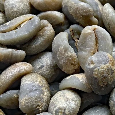 画像3: コーヒー生豆【１００ｇ】ブラジル　モンテアレグレ農園