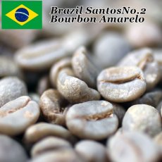 画像2: コーヒー生豆　ブラジル　アマレロブルボンPN　　100g (2)