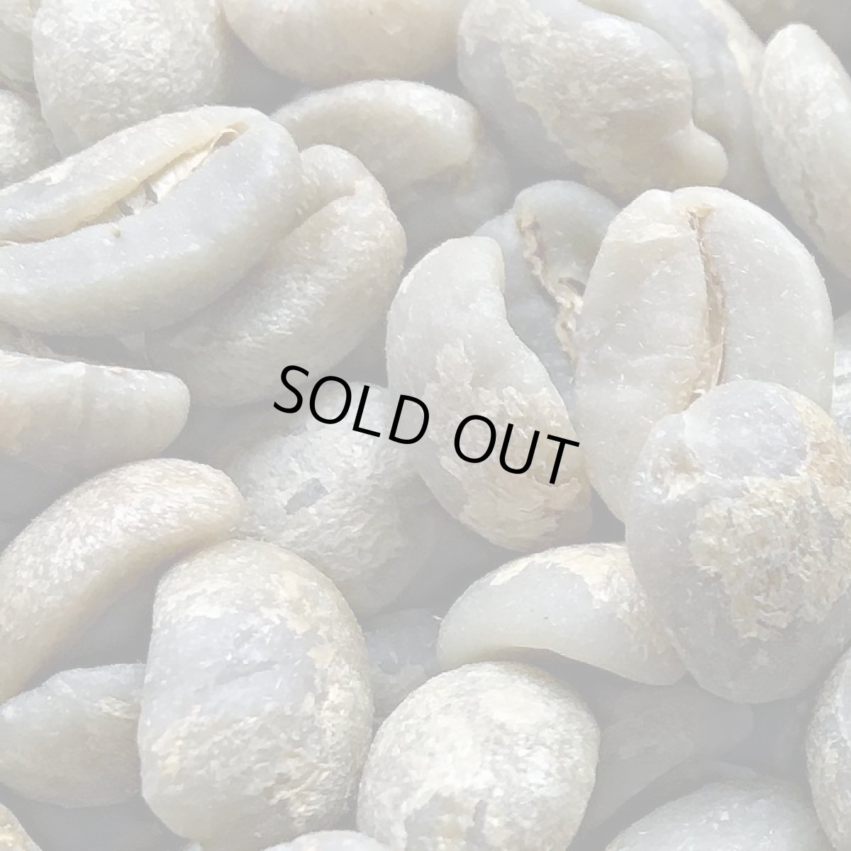 画像3: コーヒー生豆【１００ｇ】ブラジル　モンテアレグレ農園 (3)