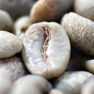 画像1: コーヒー生豆　ブラジル　アマレロブルボンPN　　100g